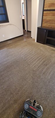 Carpet cleaning after cleaning