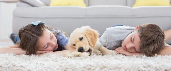 Children & Pet Friendly Products. No Harmful Chemical Odors, No Fumes.