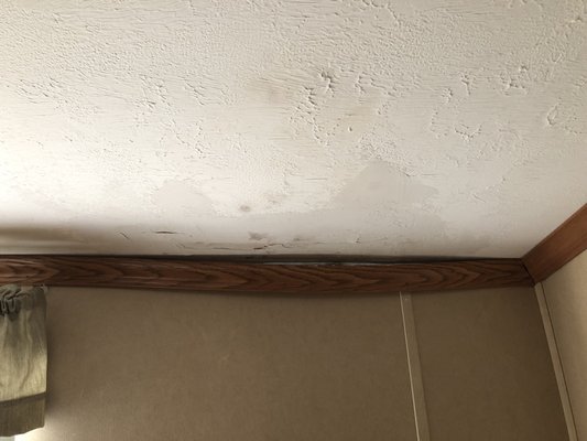 Black mold in sagging ceiling