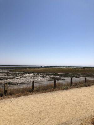 Wetlands looking out to San Pablo Bay