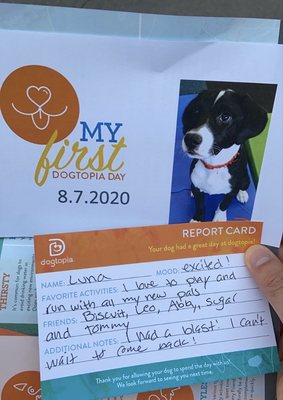 Luna's first day report card from Dogtopia!