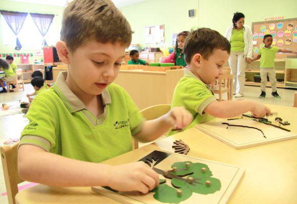 Primary Classroom 3 yrs- 6 Yrs.  Science Lesson