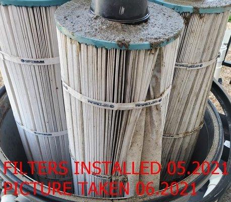 Photo of pool filters after 1 month of use.