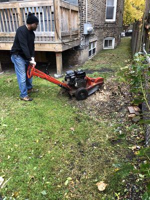 Stump grinding