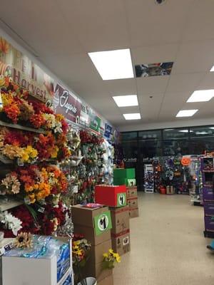 Ashland Dollar Tree -- 321 Pond Street / Route 126, Ashland          Interior