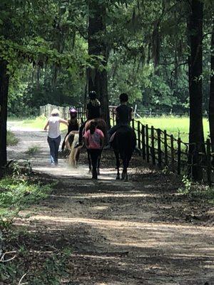 Trail rides through the woods.