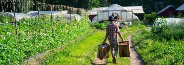 Our Harvest Cooperative