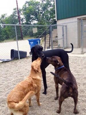 making friends at daycare!