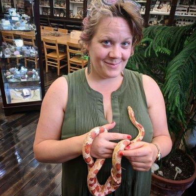 Netop, the friendly corn snake.