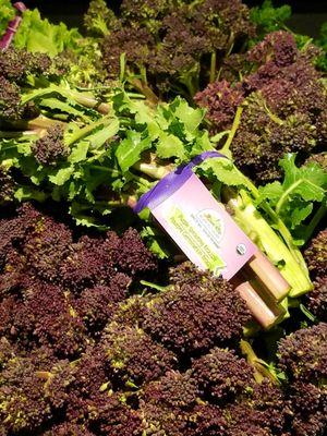 Purple sprouting organic broccoli - perfect