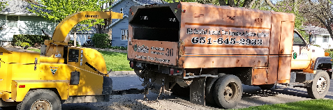 Twin City Tree Service