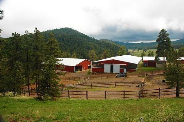 Conifer Stables