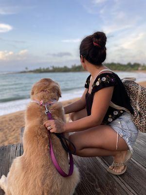 This is me and Kyana, my pet, walking on a beach in Puerto Rico