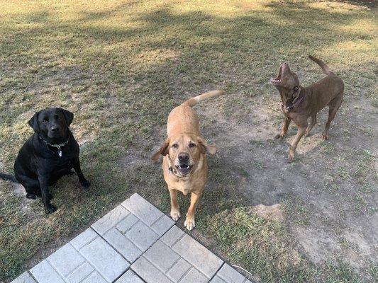 Regular customers of Dr. Zupka at Sherwood Animal Clinic