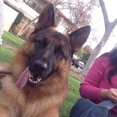 Ruger taking a selfie at Mission Park during our lunch stop.