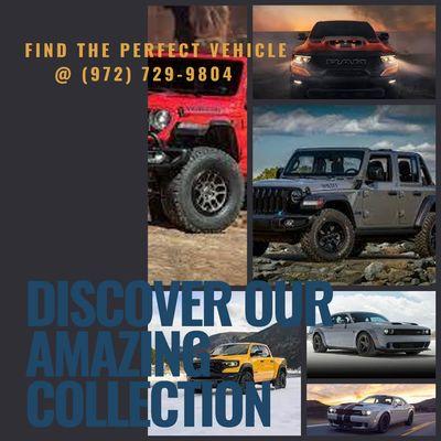 Discover Our Amazing Inventory