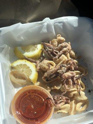 Calamari