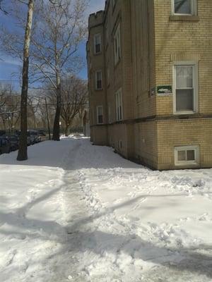 Adams realty doesnt shovel as the law requires. What other laws dont they follow?