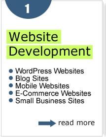 Website Development for Small to Medium Sized Businesses.