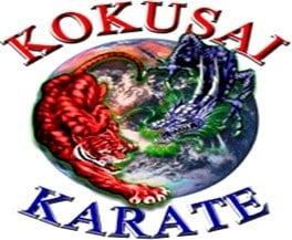 Kokusai Karate Academy