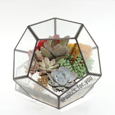 Giant Geometric Terrarium  www.succsforyoumiami.com