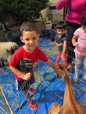 Petting Zoo Day!