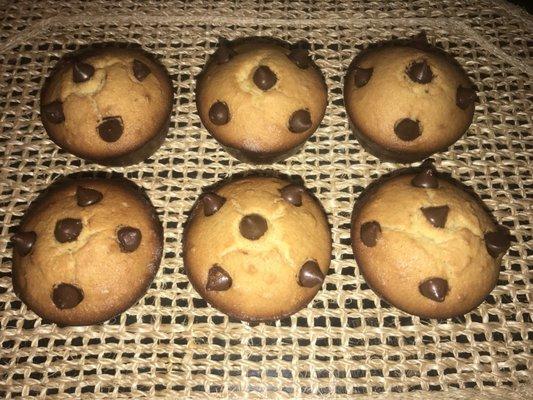 Chocolate chip muffins are to die for