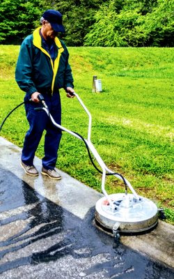 black mold removal !