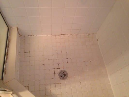 Shower before restoration