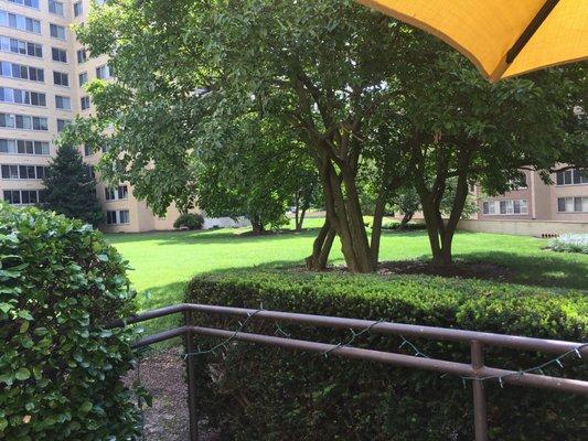 View of the courtyard from patio