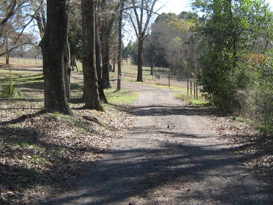 country lane