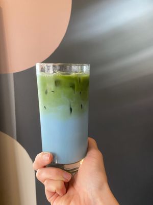 Iced Matcha Latte