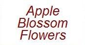 Apple Blossom Flowers