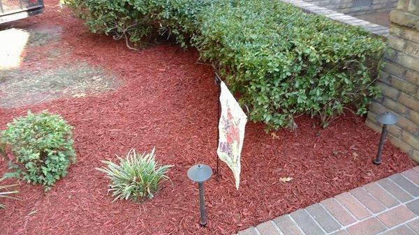 Mulched Patio