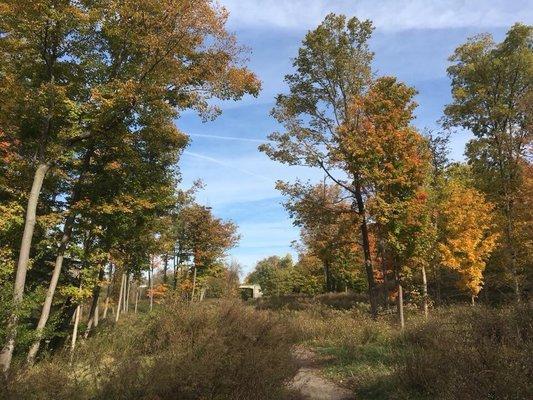 North/South Trail just beyond the Veterans Memorial Park in Henrietta