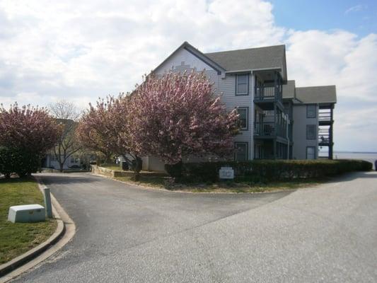 38 unit condominium complex, managed by Maryland Real Estate Management