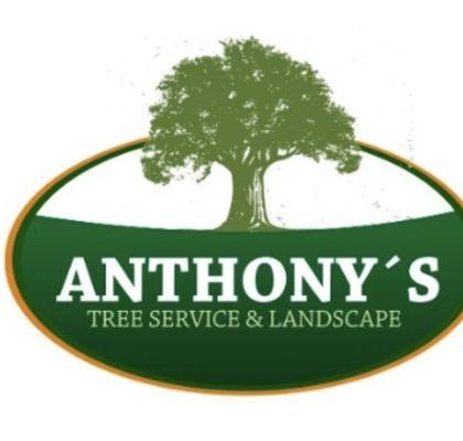 Anthony’s Treeservice and Landscape