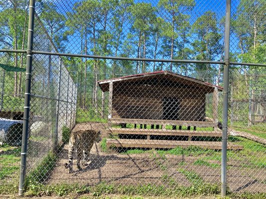 Catty Shack Ranch