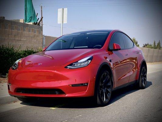 Tint model Y