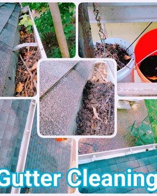 Gutter Cleaning