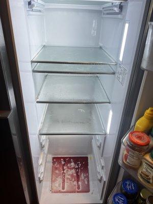 Stain refrigerator