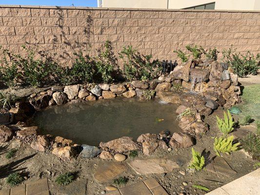 Small Backyard Pond