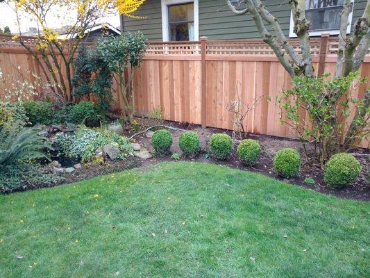 Cedar Fence with Lattice