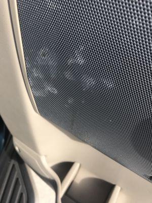 Mold and damage on speaker