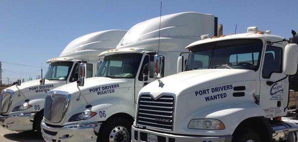 Coastal  Trucking &  Distribution Inc