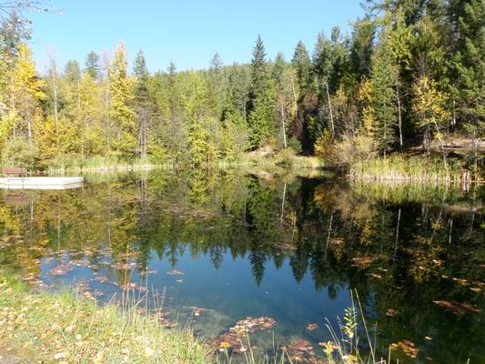 Elmer's Pond