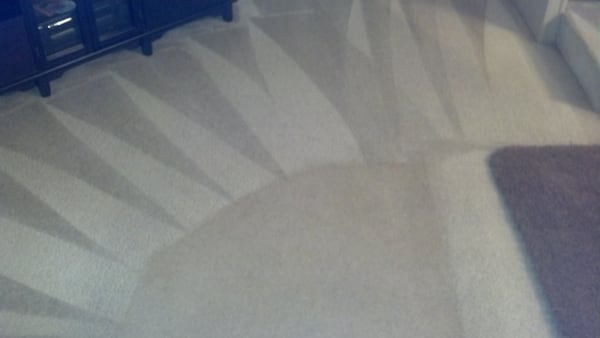 A thorough cleaning of the carpeting in your home or business will remove dirt, oil, stains, and allergens.