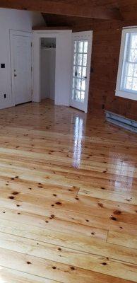 Yellow pine Loudoun NH