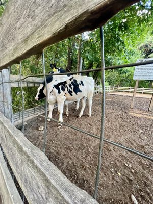 Great Brook Farm is a 1000 acre state park with tours of the dairy farm with ice cream lots of outdoor activities including hiking $3.00