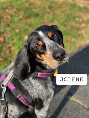 Jolene